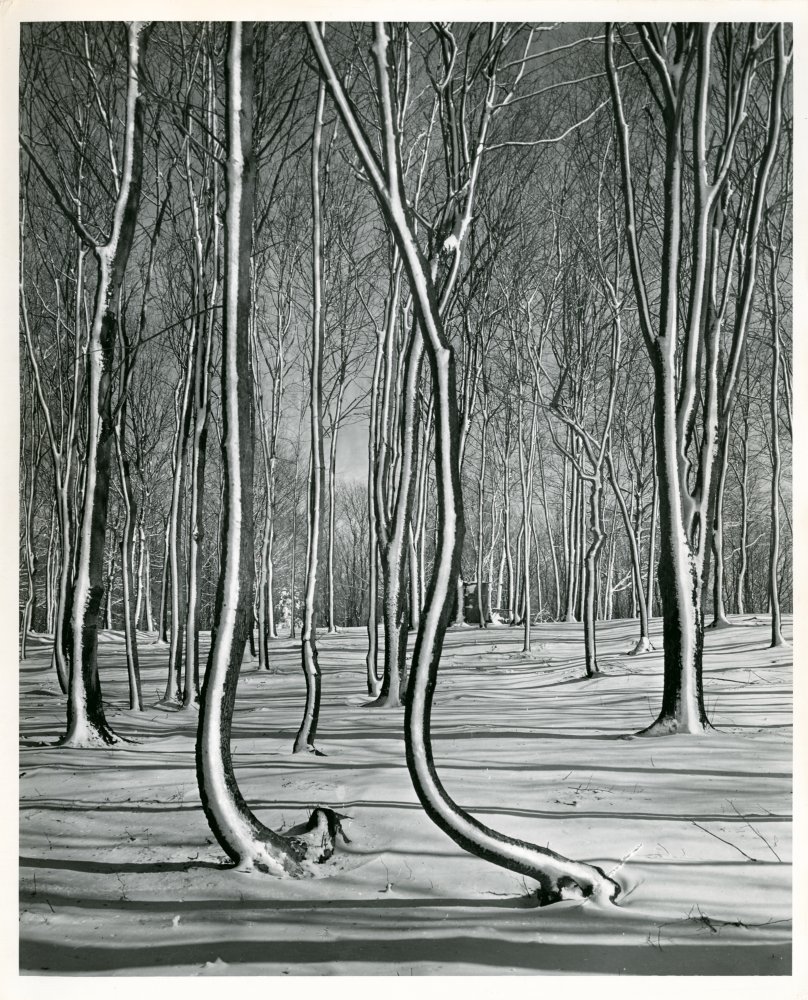 02-007 (click for large image)